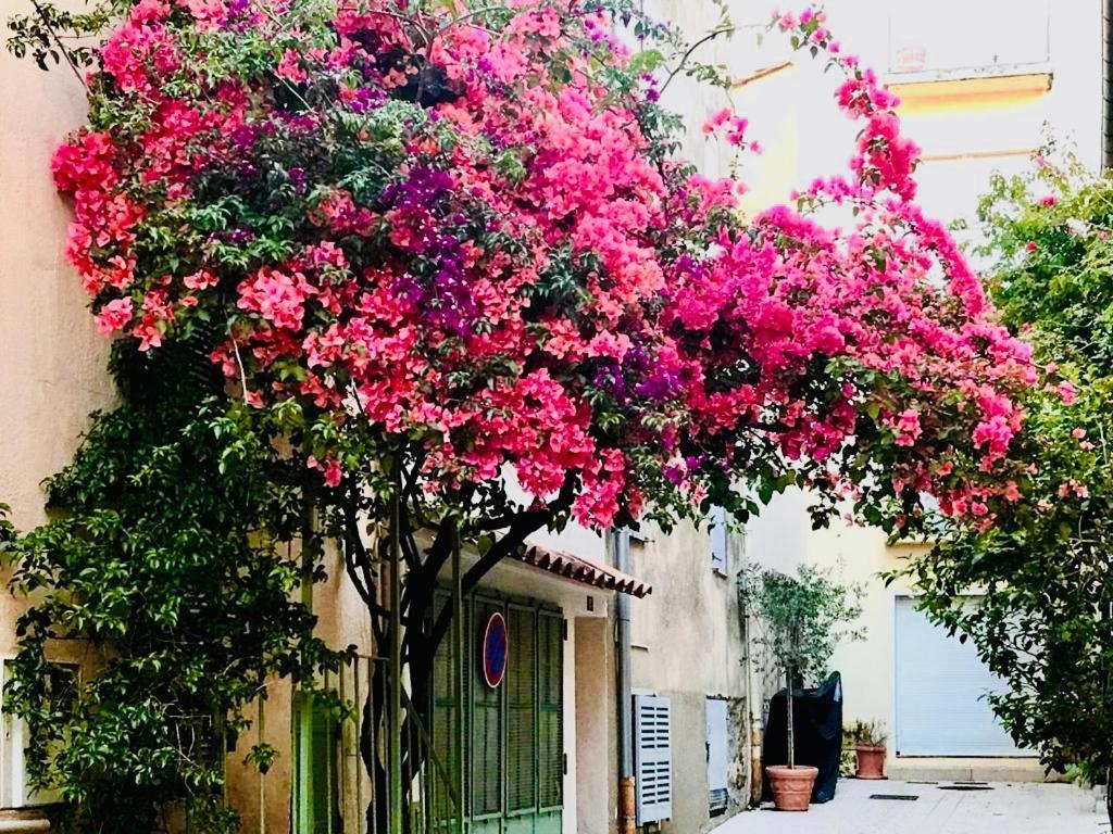 Ferienwohnung Le Caillou A La Ponche St Tropez Saint-Tropez Exterior foto